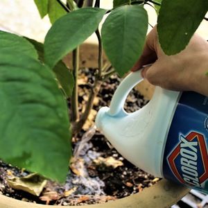 Meet your Posher, Evan